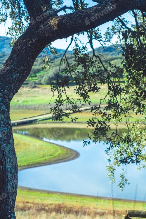 Preview: Calm and serene outdoor landscape with nature view. Tree in foreground and blue river background