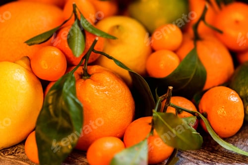 Preview: Close-up of various citrus fruits