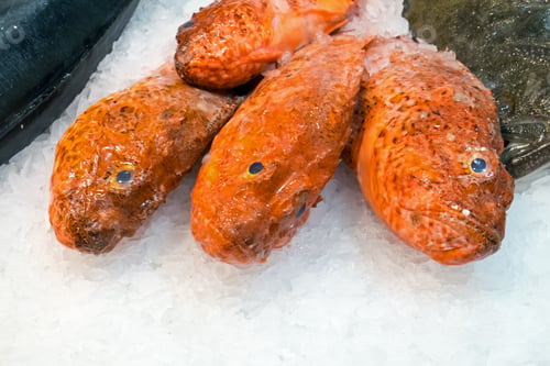 Preview: Red fish on ice at the Boqueria market