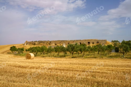 Preview: Country landscape near Matera and Gravina di Puglia