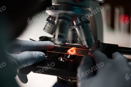 Preview: Laboratory Worker Placing Particle of Meat Under Microscope