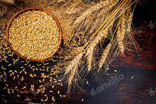 Preview: Ripe barley grains in bowl. Top view.