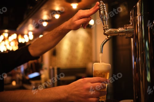 Preview: Barman pouring beer in glass from beer tap.