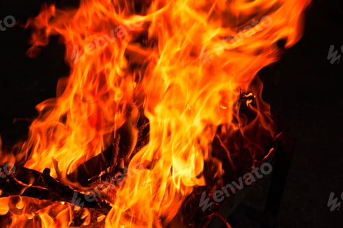 Preview: Large flames fire burning dry tree branches