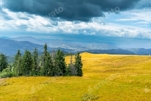Preview: Mountains ranges in the Carpathians. Hills, forest and meadows