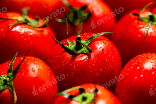 Preview: Red tomatoes with water drops