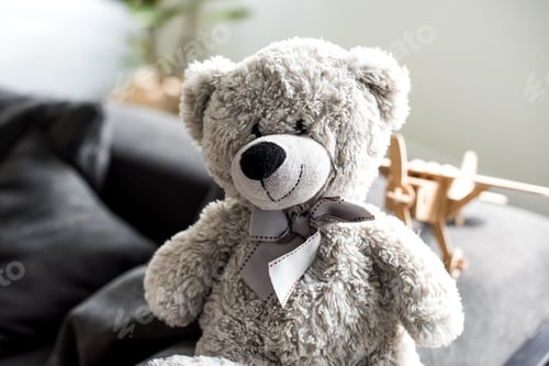 Preview: close-up view of beautiful grey teddy bear on sofa