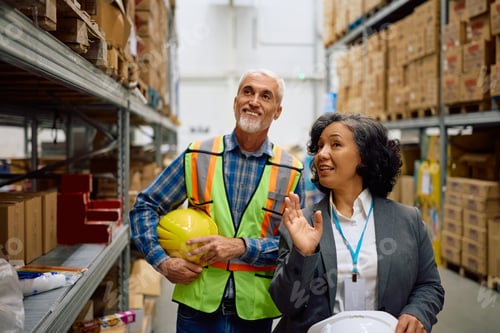 Preview: Happy female inspector and manual worker talking while walking through distribution warehouse.
