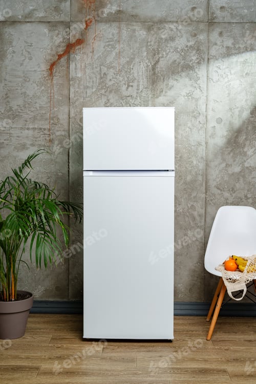 Preview: White Refrigerator in a Modern Kitchen With a Palm Plant and Chair