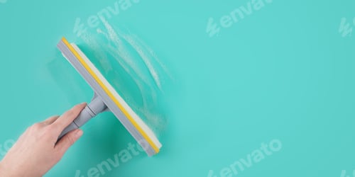 Preview: Woman's hand holding window cleaning mop