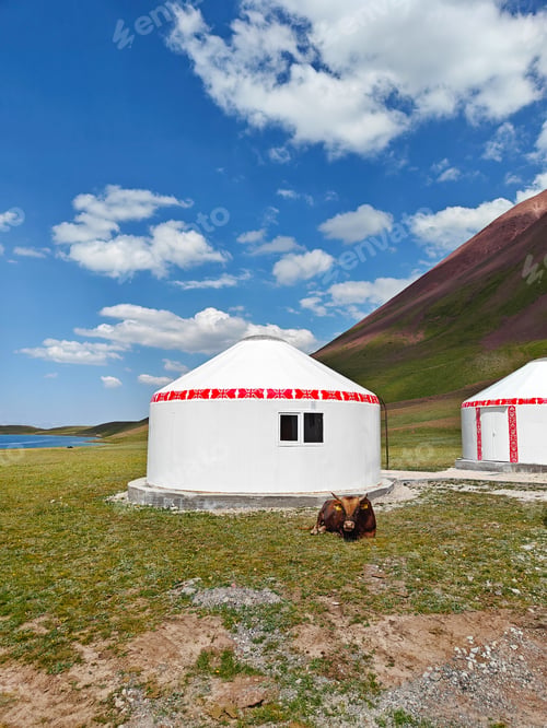 Preview: Yurts sit in a serene green landscape, with a resting cow nearby and mountains in the background