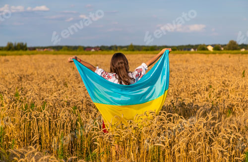 Preview: Child in a field of wheat with the flag of Ukraine. Selective focus.