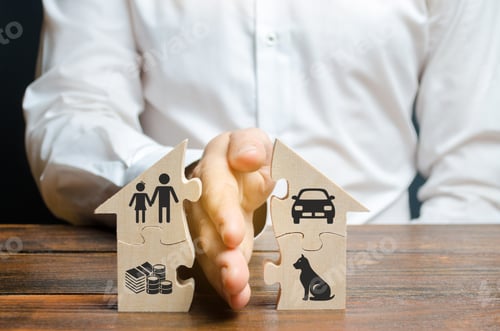 Preview: A man shares a house with his palm with images of property, children and pets