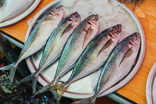 Preview: Fresh fish displayed on ice in a frosty tray.