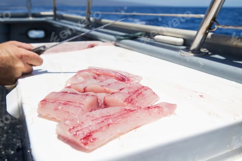 Preview: Fresh cut fish on an ocean charter boat