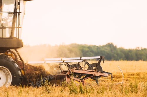 Preview: Combine Harvester Working In Field. Harvesting Of Wheat In Summer Season. Agricultural Machines