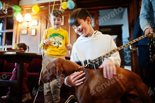 Preview: Children on birthday party playing with dog.