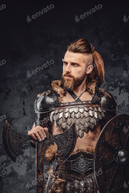 Preview: Bearded Viking warrior dressed in fur and light armor
