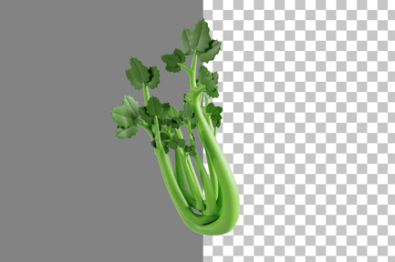 Preview: Celery 3D Icon