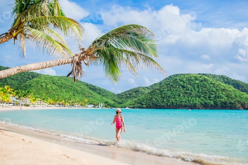 Preview: Caucasian girl with hat background the sea