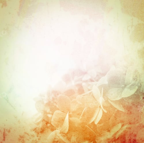 Preview: Colorful Flowers In Soft And Blur Style On Mulberry Paper Texture For Background