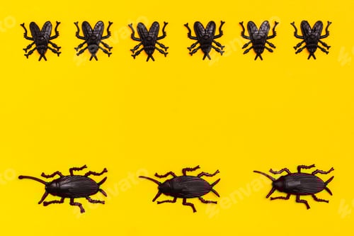 Preview: Black plastic cockroaches and black plastic flies on a yellow cardboard background.