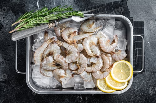 Preview: Raw pacific white shrimp prawn peeled with tail on ice. Black background. Top view
