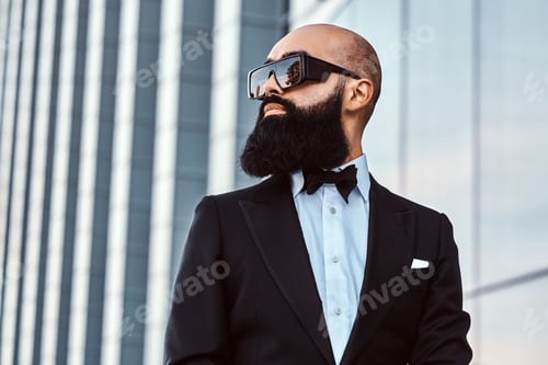 Preview: Portrait of bald bearded man in sunglasses