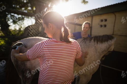 Preview: Friends cleaning horse at barn