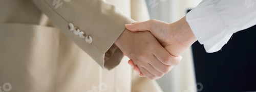 Preview: Close up Businesswoman handshake and business people. Successful business concept.