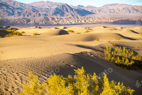 Preview: Sand dunes against mountains in Death Valley, Eastern California, Mojave Desert, USA.