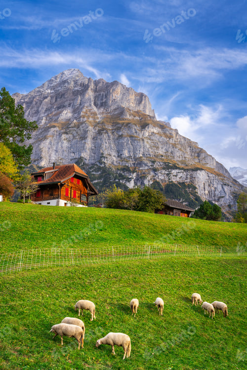 Preview: Grindelwald, Swizterland with Mettenberg Mountain in the Bernese Alps.