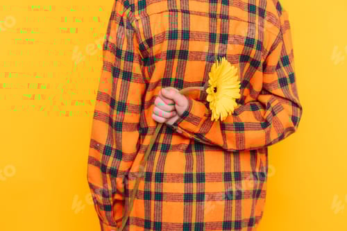 Preview: Child Holds Yellow Flower Behind Back on Yellow