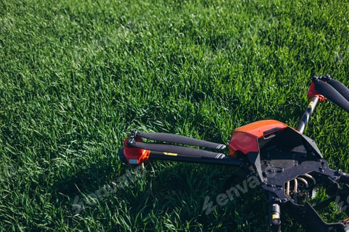 Preview: Modern drone flying over wheat grain field on sunny day. Agriculture industry.