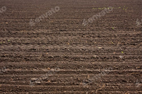 Preview: Fresh soil