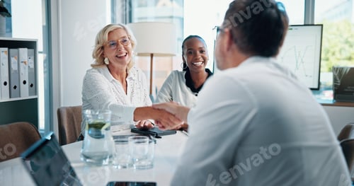 Preview: Business people, meeting and shaking hands with investor for deal, financial agreement and company