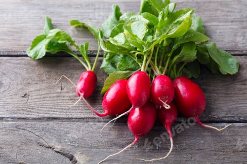 Preview: Radish Bunch on Rustic Wooden Background. Close up.