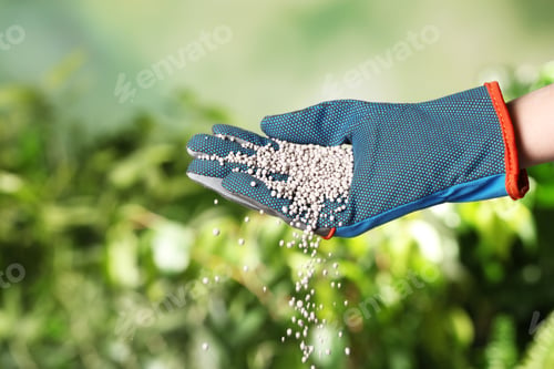 Preview: Woman in glove pouring fertilizer on blurred background, closeup with space for text. Gardening time