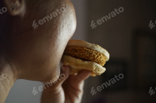 Preview: Hamburger