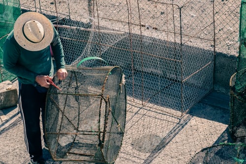 Preview: The old fisherman on the dock of the port fixes and prepares the nets for fishing