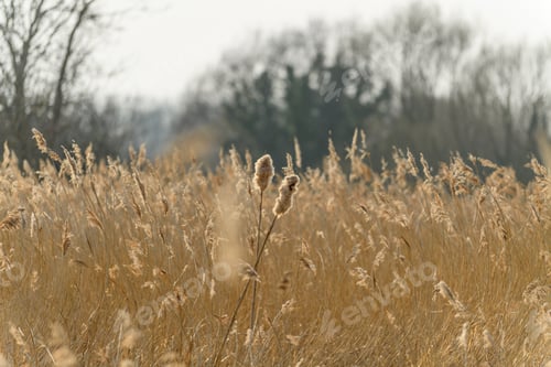 Preview: winter neutrals blowing in the spring breeze