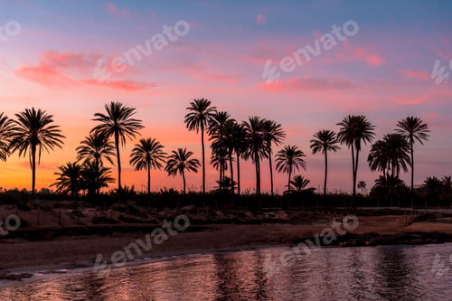 Preview: Silhouette of palm trees reflected in an orange sunset on a beach by the sea