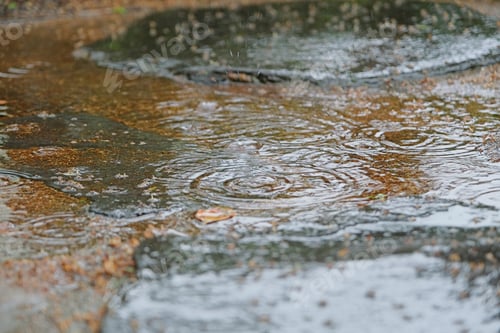 Preview: rain puddle circles on stone autumn pavement