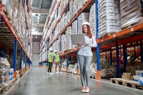 Preview: Woman standing working on laptop and workers in warehouse