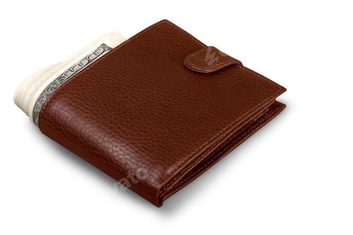 Preview: leather wallet, realistic, money, rich, real
