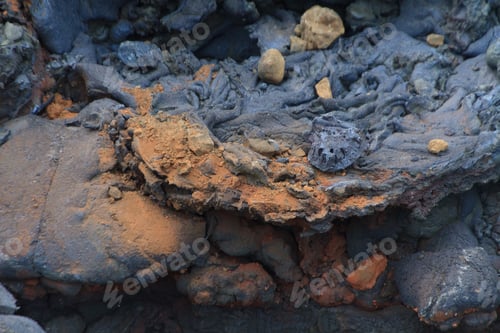 Preview: Closeup shot of a fresh lava field in Iceland with its small details