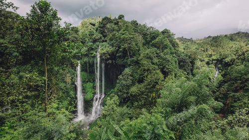 Preview: Waterfall in a tropical rain forest