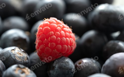 Preview: ripe blueberries close up