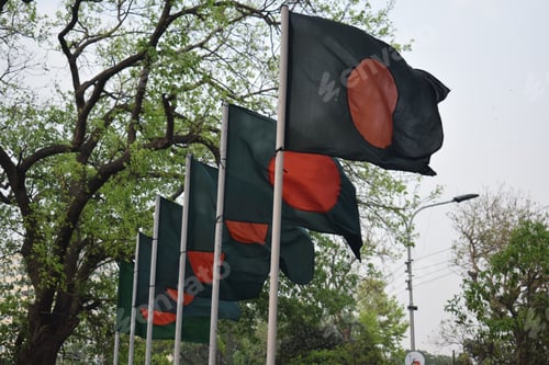 Preview: Row of small Bangladesh flags waving in the wind in a park