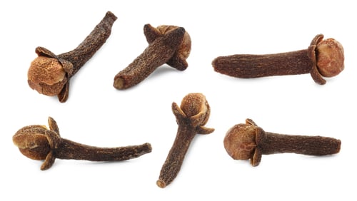 Preview: Fragrant clove buds isolated on white, set